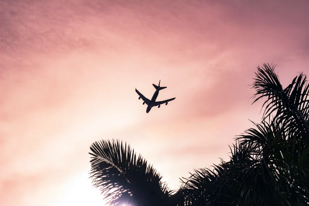 This image displays an airplane.

In article about how to find the cheapest flights, budget flight hacks, tips for finding the best flight deals.