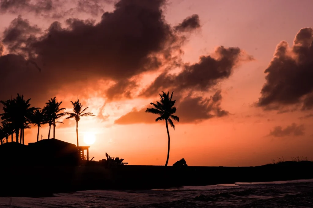 This image displays sunset and palm trees in the Bahamas.

In the article: The best rock'n'roll cruises around the world, including Rock the Boat Cruise, Full Metal Cruise, The Rock Boat, 70000 Tons of Metal, Shiprocked, Rock Legends Cruise, The 80s Cruise.